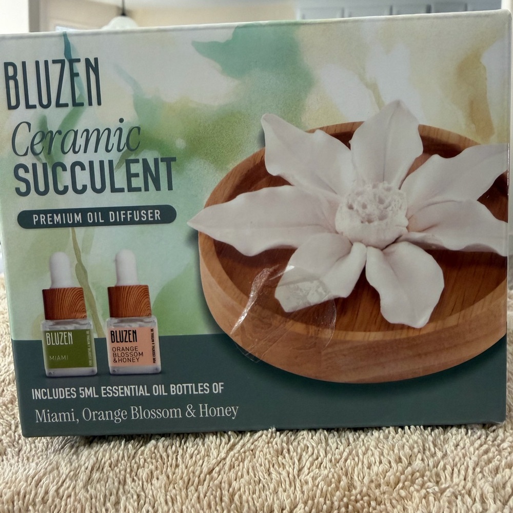 Bluzen Ceramic Succulent Oil Diffuser (Brand New In Box)